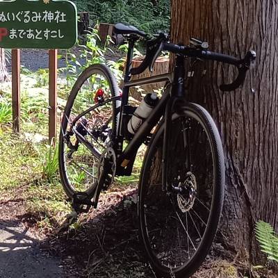 今年の5月末に納車した初めてのロードです。14万代Clarisコンポでも良く走るアルミです。