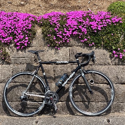 Cervelo SuperProdigy
2003年型
ネオレトロ仕様