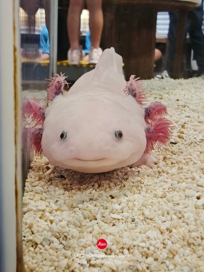 よよよ