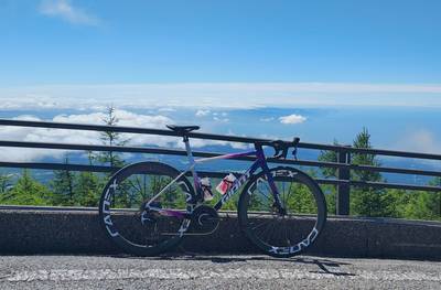 GIANT TCR ADVANCED SL TEAM Jayco ALULA