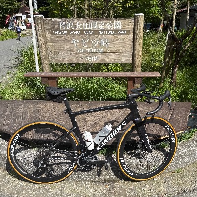 シェイクダウンヤビツ