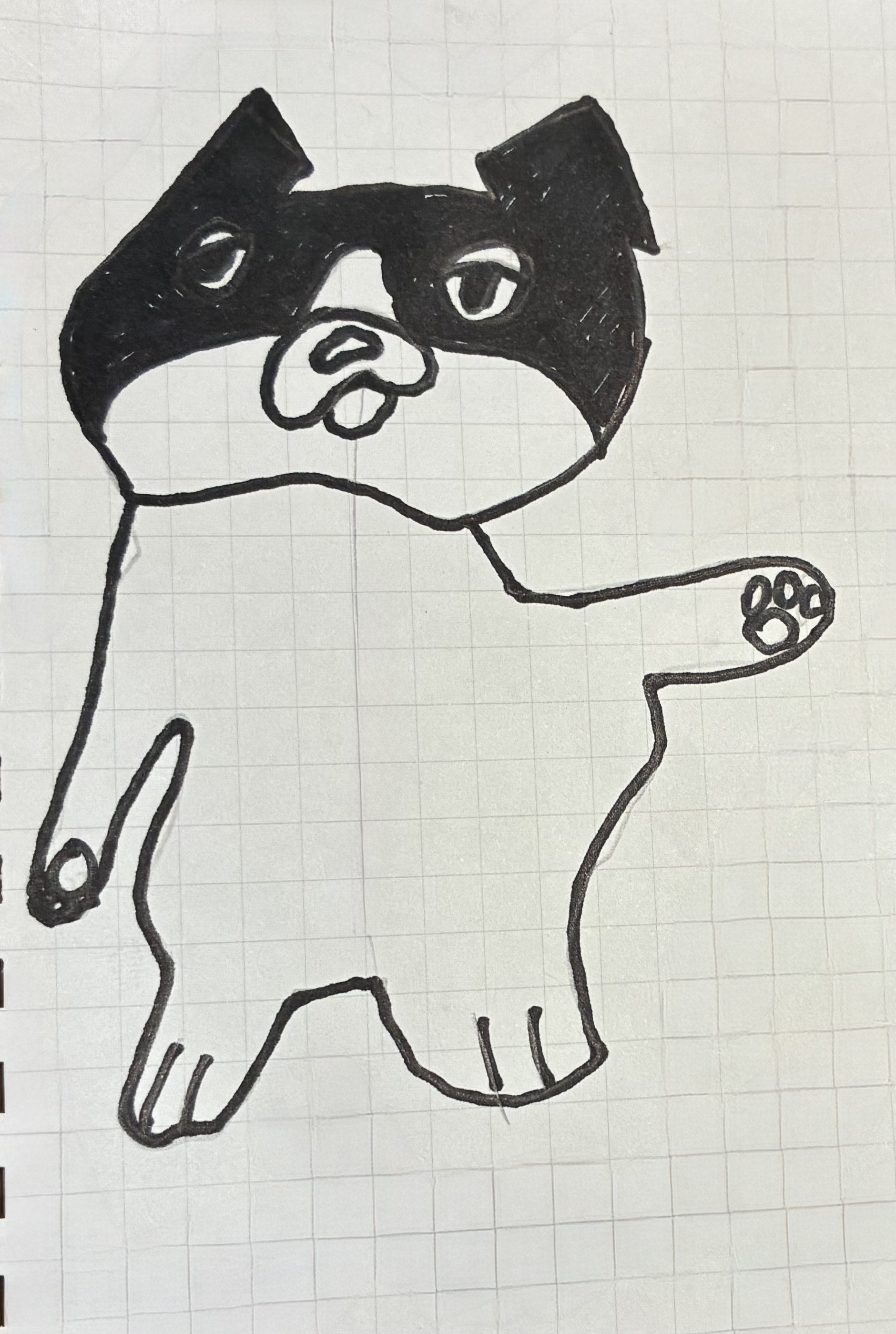 こんた
