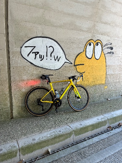 タツシ